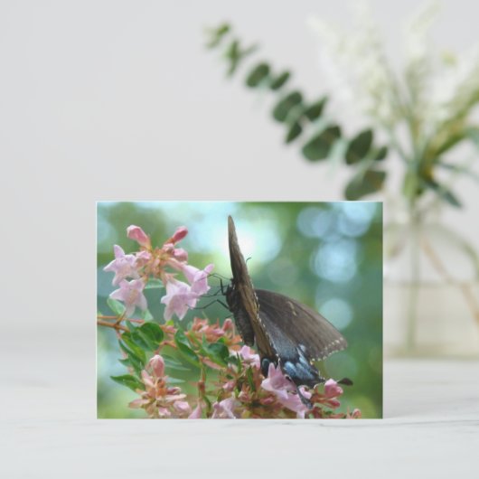 Summer Butterfly Blues Briefkaart (Staand voorkant)