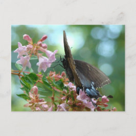Summer Butterfly Blues Briefkaart