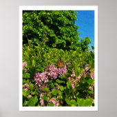 Summer Butterfly Print (Voorkant)