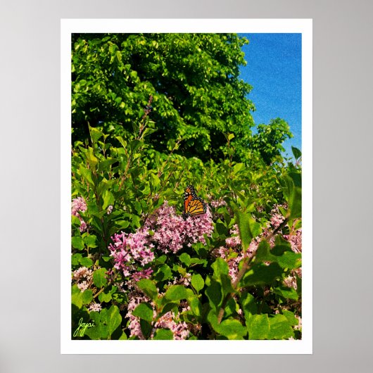 Summer Butterfly Print (Voorkant)