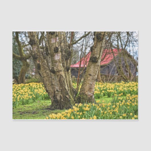 Summer Cabin Complete, Old Tree and Yellow Flowers Tissuepapier (Voorkant)