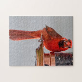 Summer Cardinaal Puzzle Legpuzzel (Horizontaal)