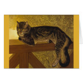 Summer Cat op Balustrade Steinlen (Voorkant Horizontaal)