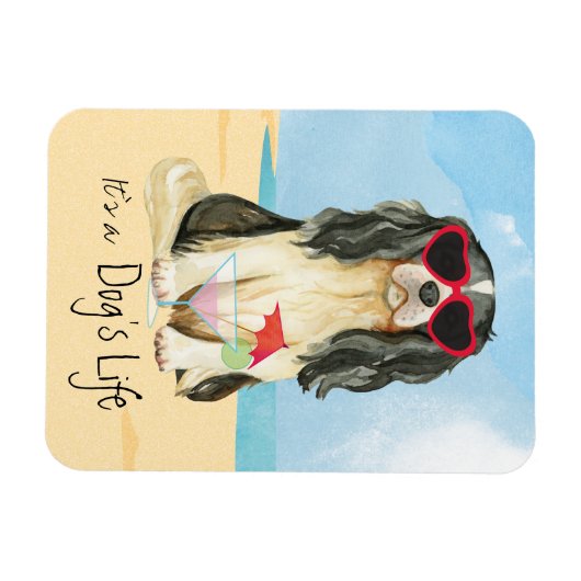 Summer Cavalier Magneet (Horizontaal)