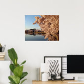 Summer Cherry Blossom Photo Natuur Wall Poster (Thuiskantoor)