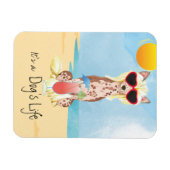 Summer Chinese Crested Magneet (Horizontaal)