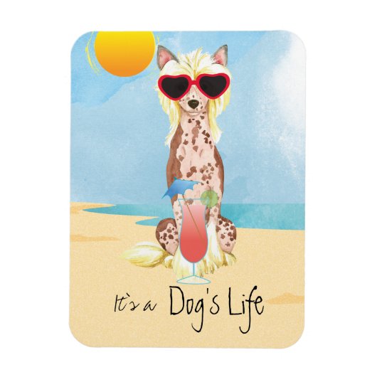 Summer Chinese Crested Magneet (Verticaal)