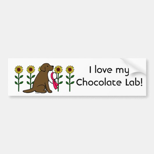 Summer Chocolate Labrador met zonnebloemen Bumpersticker (Voorkant)