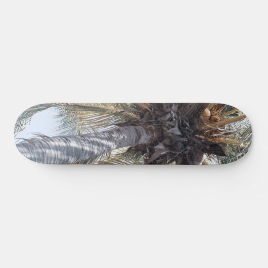 Summer Coconut Chill Palm 1 Persoonlijk Skateboard (Horizontaal)