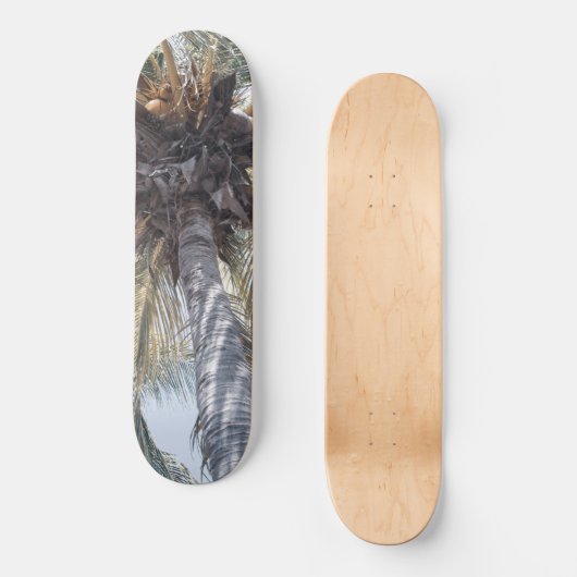 Summer Coconut Chill Palm 1 Persoonlijk Skateboard (Voorkant)
