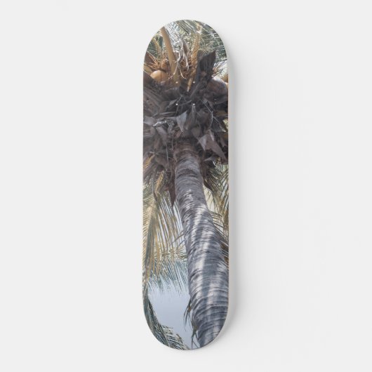Summer Coconut Chill Palm 1 Persoonlijk Skateboard (Voorkant)