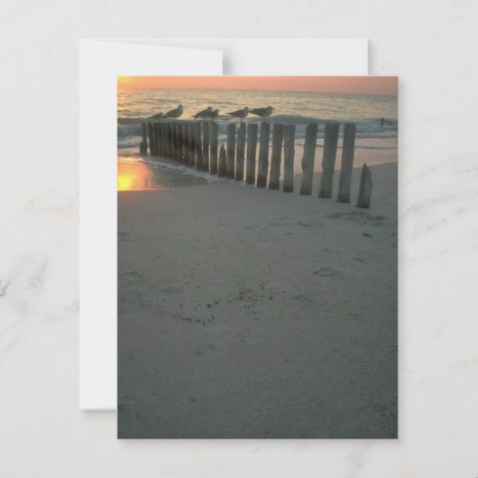 Summer Cottage Camp nodigt uitnodiging van Beach P (Voorkant)