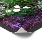 Summer Cottage Garden Photography Print (Hoek)