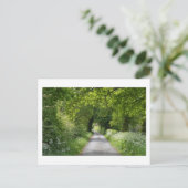 Summer Country Road Briefkaart (Staand voorkant)