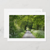 Summer Country Road Briefkaart (Voorkant / Achterkant)