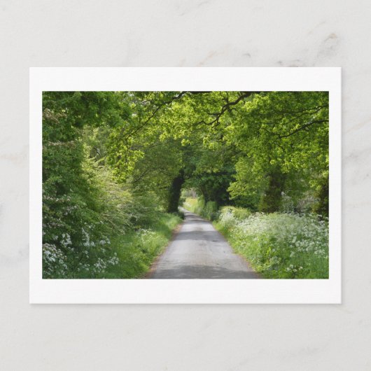 Summer Country Road Briefkaart (Voorkant)