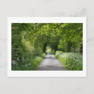Summer Country Road: Cheshire Briefkaart
