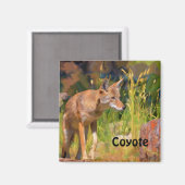 Summer Coyote Wildlife Painting Magneet (Voorkant / Achterkant)