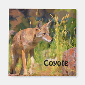 Summer Coyote Wildlife Painting Magneet