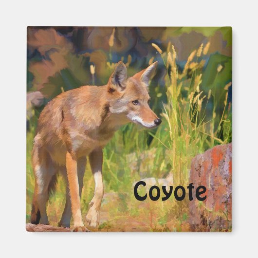 Summer Coyote Wildlife Painting Magneet (Voorkant)