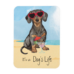 Summer Dachshund Magneet