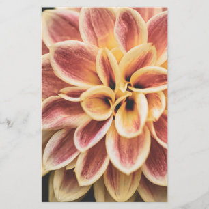 Summer Dahlia Flower (Floral Art) Briefpapier