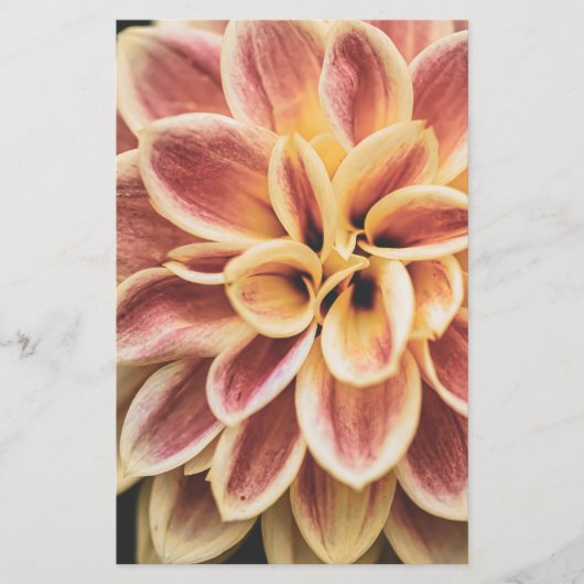 Summer Dahlia Flower (Floral Art) Briefpapier (Voorkant)