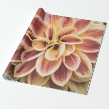 Summer Dahlia Flower (Floral Art)