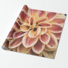 Summer Dahlia Flower (Floral Art) Cadeaupapier