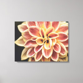Summer Dahlia Flower (Floral Art) Canvas Afdruk
