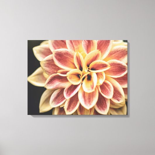 Summer Dahlia Flower (Floral Art) Canvas Afdruk (Voorkant)