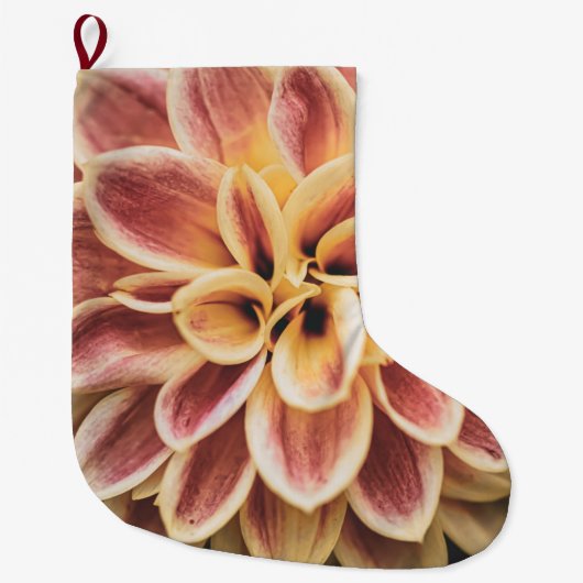 Summer Dahlia Flower (Floral Art) Grote Kerstsok (Voorkant)