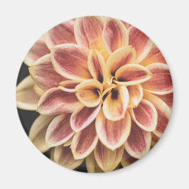 Summer Dahlia Flower (Floral Art) Magneet