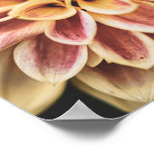 Summer Dahlia Flower (Floral Art) Poster (Hoek)