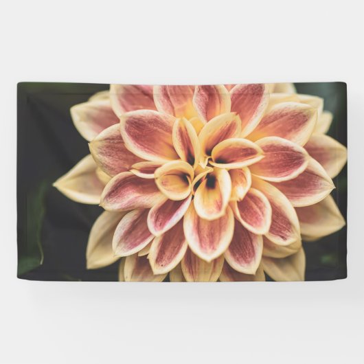 Summer Dahlia Flower (Floral Art) Spandoek (Horizontaal)