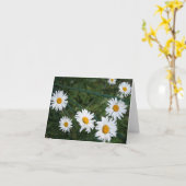 Summer Daisies Blank Folded Wenskaart Kaart (Gele Bloem)