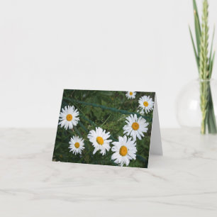 Summer Daisies Blank Folded Wenskaart Kaart