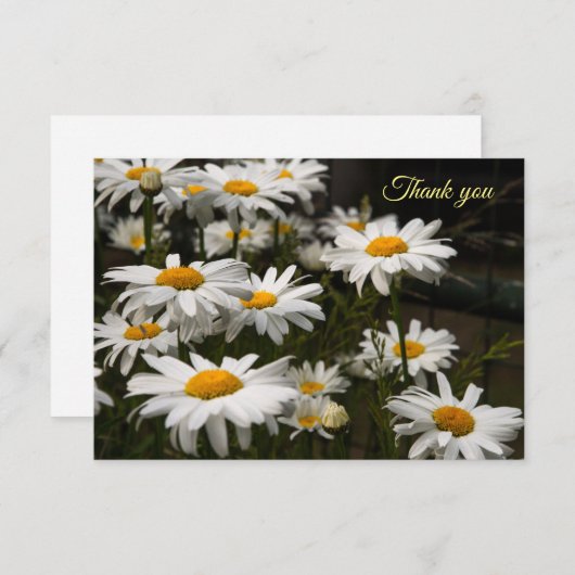 Summer Daisy Flat - Hartelijk dank Bedankkaart (Voorkant / Achterkant)