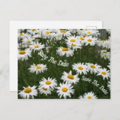 Summer Daisy Flower Save the Date Briefkaart (Voorkant / Achterkant)