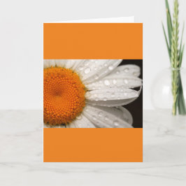 Summer Daisy Folded Blank Wenskaart Kaart