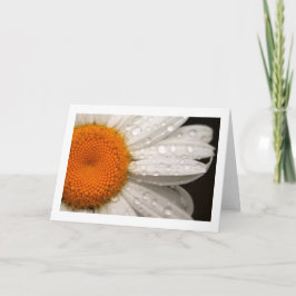 Summer Daisy Folded Blank Wenskaart Kaart