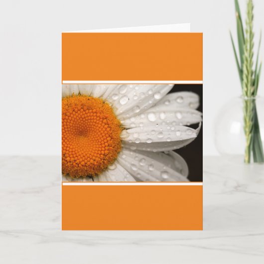 Summer Daisy Folded Blank Wenskaart Kaart (Voorkant)