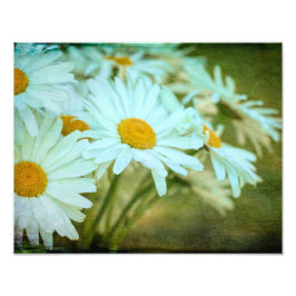 Summer Daisy Photo Enlargement Foto Afdruk