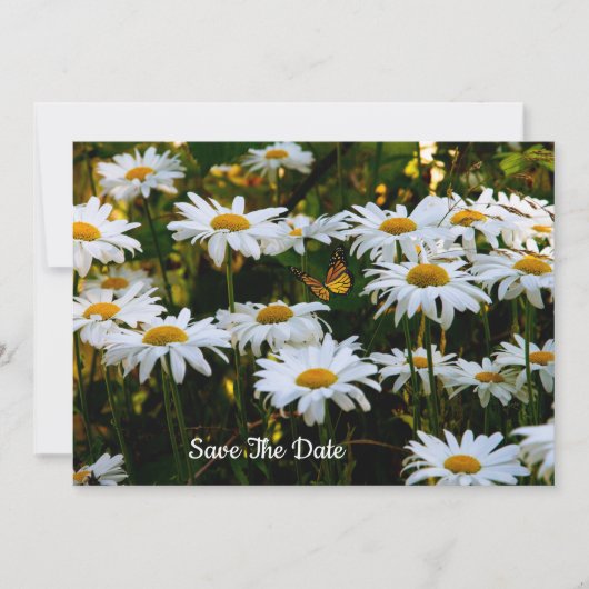 Summer Daisy Save the Date Invitation Kaart (Voorkant)