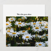 Summer Daisy Save the Date Invitation Kaart (Voorkant / Achterkant)