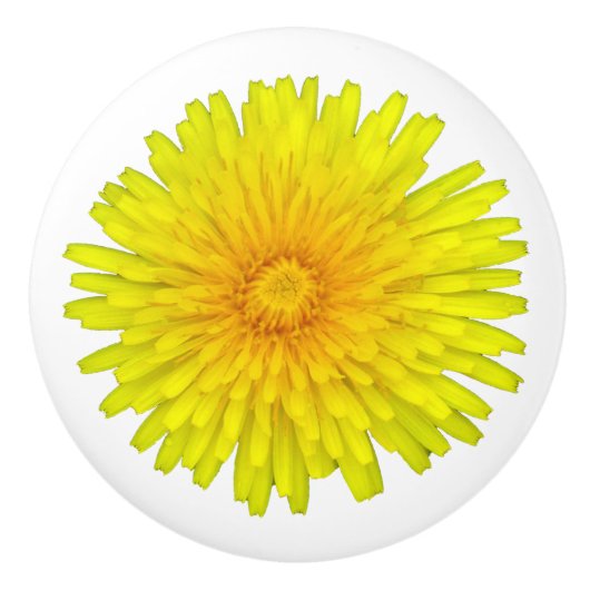 Summer Dandelion Keramische Knop (Voorkant)