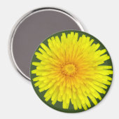 Summer Dandelion Magnet (Voorkant / Achterkant)