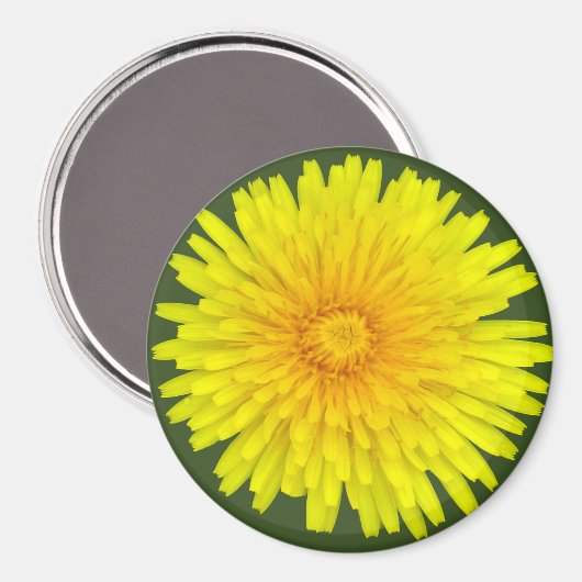 Summer Dandelion Magnet (Voorkant / Achterkant)