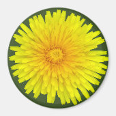 Summer Dandelion Magnet (Voorkant)