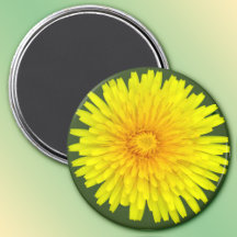 Summer Dandelion Magnet